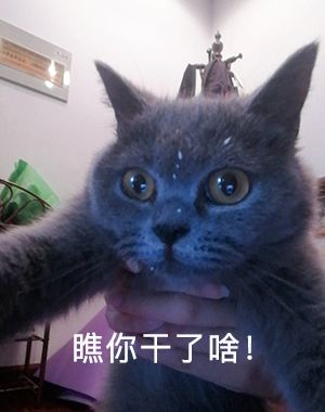 DƬ
